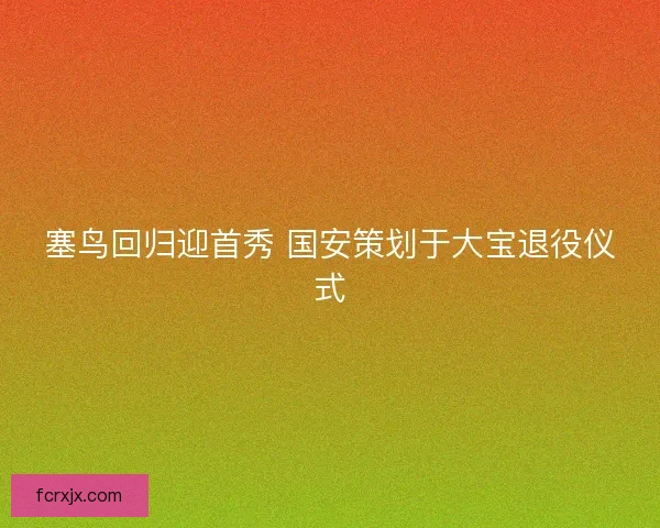 塞鸟回归迎首秀 国安策划于大宝退役仪式